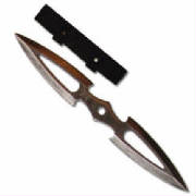 K313.jpg